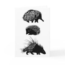 Echidna, hérisson, carte de voeux de porc-épic