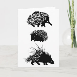 Echidna, hérisson, carte de voeux de porc-épic
