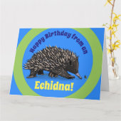 Echidna mignon avec la carte d'anniversaire de (Fleur jaune)