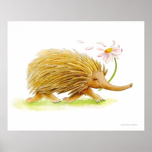 Echidna watercolor wuftheidskunst poster (Voorkant)