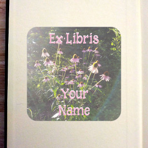Echinacea Bloemen in de Zon Ex Libris Vierkante Sticker