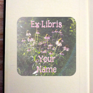 Echinacea Bloemen in de Zon Ex Libris Vierkante Sticker