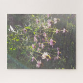 Echinacea Bloemen in de Zon Legpuzzel (Horizontaal)