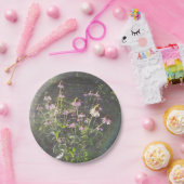 Echinacea Bloemen in de Zon Papieren Bordje (Feest)