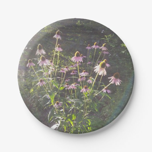 Echinacea Bloemen in de Zon Papieren Bordje (Voorkant)