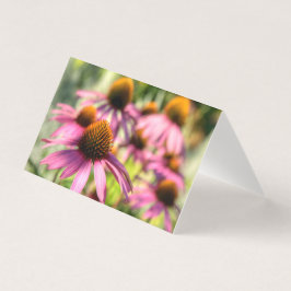 Echinacea floral scene kaart