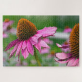 Echinacea Flower Jigsaw Puzzle (Horizontal)