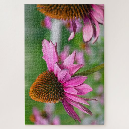 Echinacea Flower Jigsaw Puzzle (Vertical)