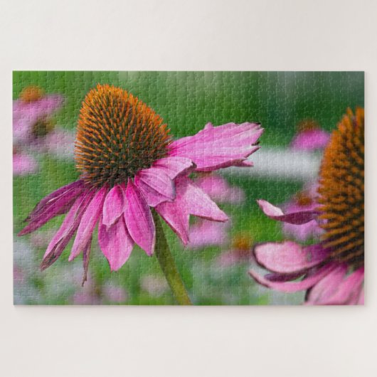 Echinacea Flower Jigzaag Puzzle Legpuzzel (Horizontaal)