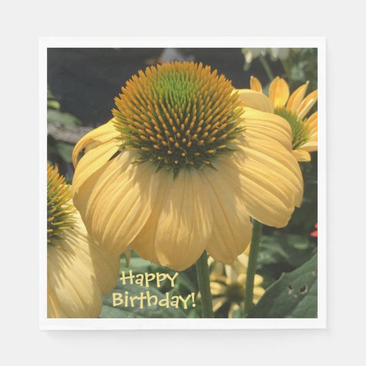 Echinacea Happy Birthday Servet (Voorkant)