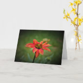 Echinacea kaart (Gele Bloem)