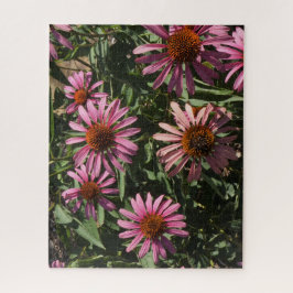 Echinacea Legpuzzel