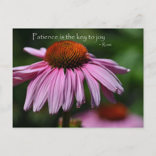 Echinacea met geduld citaat briefkaart