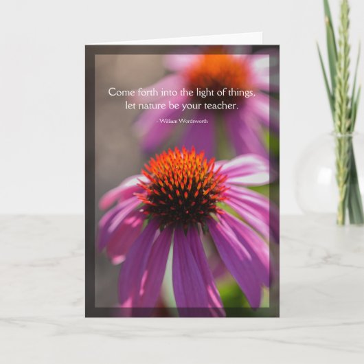 Echinacea Natuur Citaat Blank Kaart (Voorkant)