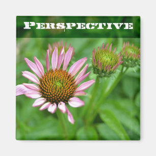 Echinacea Perspective Magnet Magneet