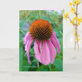Echinacea Pink Kaart (Gele Bloem)