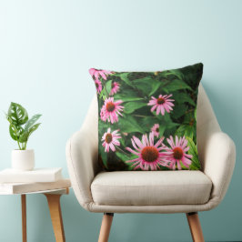 Echinacea purpurea, Paarse coneflower Sierkussen