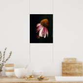 Echinacea Silhouette SK Poster (Keuken)
