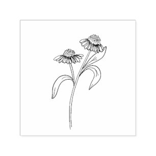 Echinacea stempel