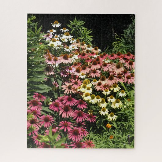 Echinacea's Legpuzzel (Verticaal)
