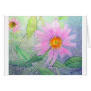 Echinacée en fleur