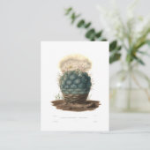 Echinocactus Briefkaart (Staand voorkant)