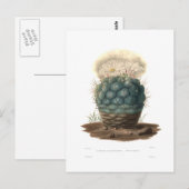 Echinocactus Briefkaart (Voorkant / Achterkant)