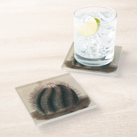 Echinocactus horizontaal thalonius Cactus Onderzet Glazen Onderzetter (Schuin)