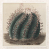 Echinocactus horizontaal thalonius Cactus Onderzet Glazen Onderzetter (Voorkant)