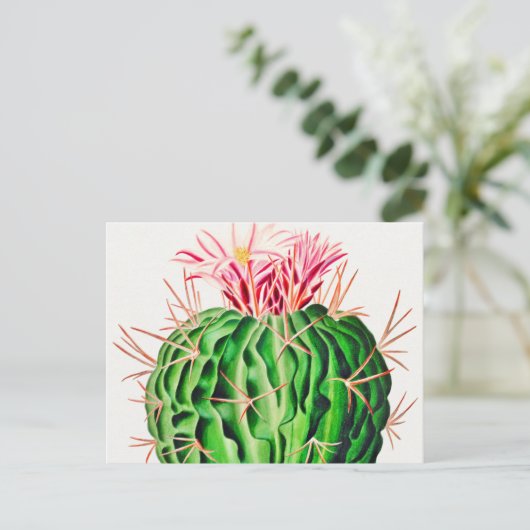Echinocactus Pentacanthus Cactus Briefkaart (Staand voorkant)