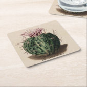 Echinocactus pentacanthus Cactus Onderzetter (Schuin)