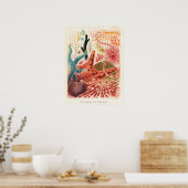 Echinoderms, Great Barrier Reef  art poster (Keuken)