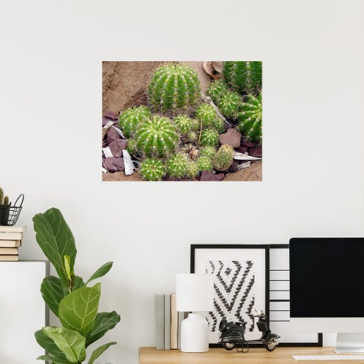 Echinopsis Bruchii Poster (Thuiskantoor)