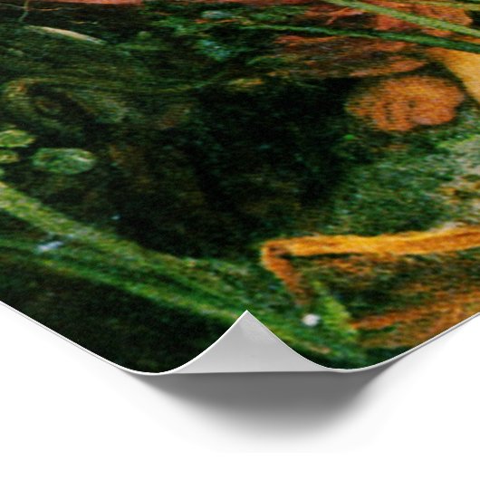 Echo and Narcissus (1903) ~ Fine Art Canvas Poster (Hoek)