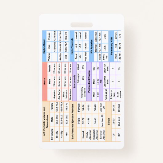 Echo Badge Naslaggids (Voorkant)