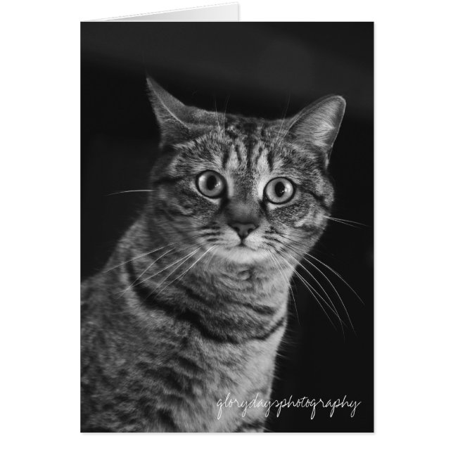 Echo, bw, D300, glorydayfotografie (Voorkant)