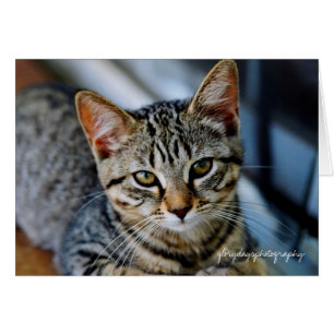 Écho, glorydaysphotography