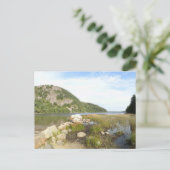 Echo Lake Beach in Acadia National Park Briefkaart (Staand voorkant)