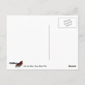 Echo Lake Beach in Acadia National Park Briefkaart (Achterkant)