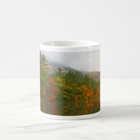Echo Lake NH Mug (Centre)