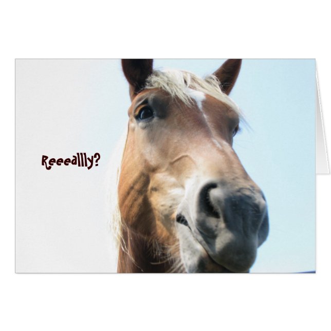 Echt? (Voorkant Horizontaal)