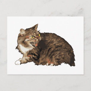 Echt angstige kat briefkaart