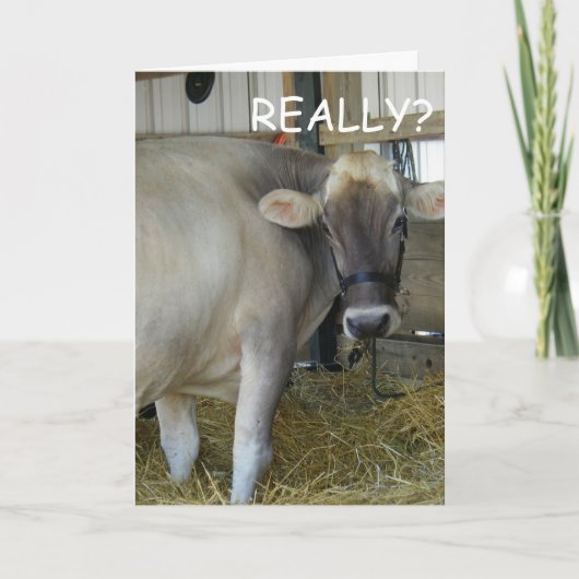 ECHT? GA SNEL GOED! KAART (Voorkant)