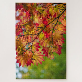 Echt Kleurrijke Herfstbladeren Puzzel
