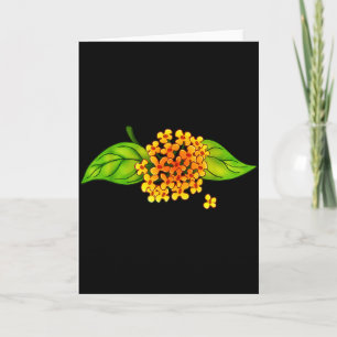 Echt leuk Osmanthus Bloem Thee Oost-Azië Kaart