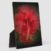 Echt rood fotoplaat (Zijkant)