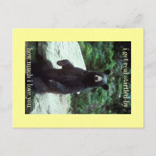 echt verrast briefkaart