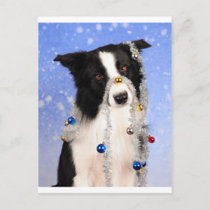 Echt waar? briefkaart