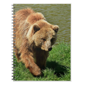 Echte Beer Gifts, Grizzly Beer, Grizzly Beer Journ Notitieboek