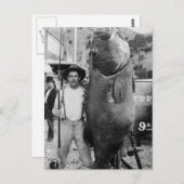 Echte Big Fish, begin jaren 1900 Briefkaart (Voorkant / Achterkant)